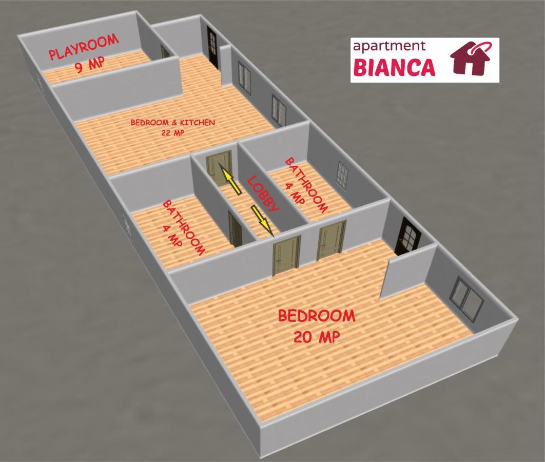 Apartment Bianca 布拉索夫 外观 照片